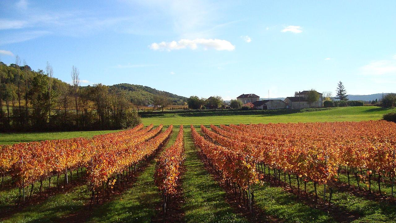 Terres De France - Domaine De Claire Rive Hotel Prayssac Bagian luar foto